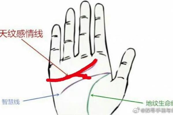 手相中的不利迹象：如何解读不好的线条
