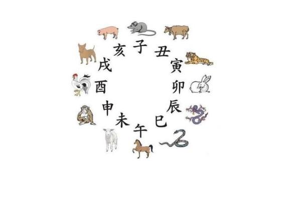 地支生肖对性格与运势的影响探究 地支生肖对性格与运势的影响探究