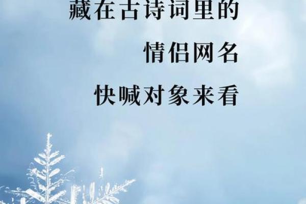 从古诗词到现代艺术，文化网名的多样化探索
