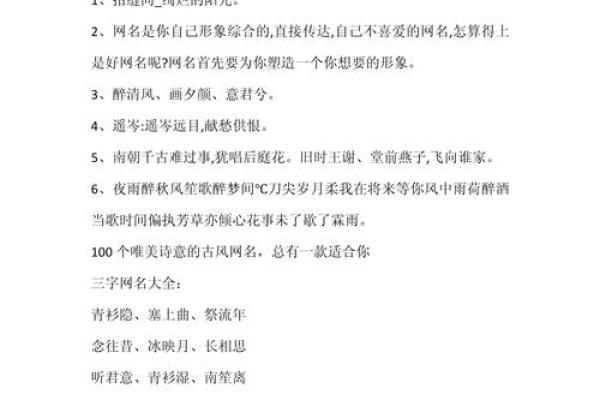 从古诗词到现代艺术，文化网名的多样化探索