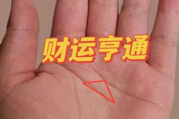 探索男士手相图解：从掌纹看出你的财富与健康