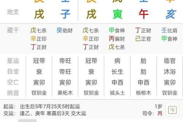 地支杀印相生的命理结构与命运调和 地支杀印相生的命理结构与命运调和