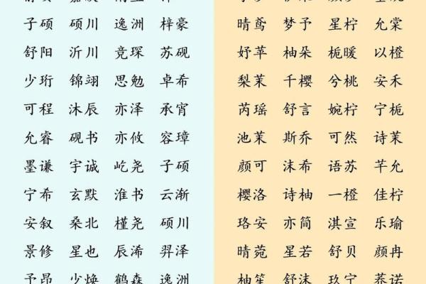 宝宝名字精选：经典与创新结合