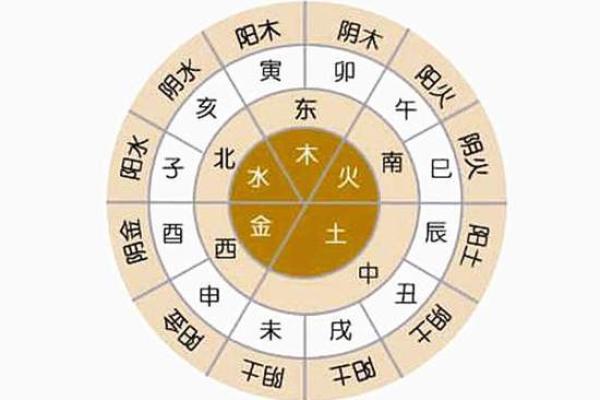 地支属性解析:探索十二地支与五行的深刻联系 地支属性解析:探索十二地支与五行的深刻联系