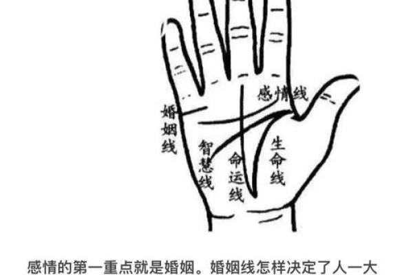 手相分析:男性掌纹透视性格与命运 手相分析:男性掌纹透视性格与命运