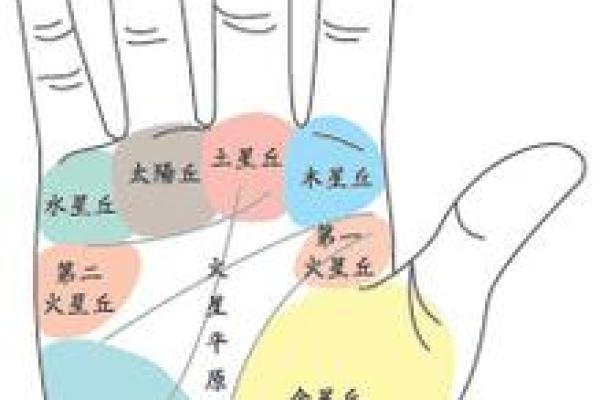 手相分析:男性掌纹透视性格与命运 手相分析:男性掌纹透视性格与命运