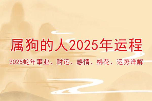狗年运势解析：如何抓住的好运机会