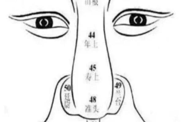 鼻子在面相学中的作用与影响