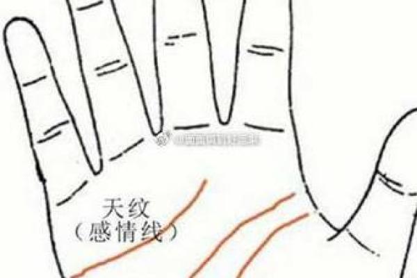 拇指手相揭秘:如何通过拇指看出你的性格与命运 拇指手相揭秘:如何通过拇指看出你的性格与命运