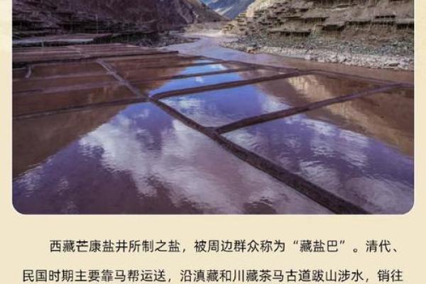从茶马古道到民族风情：走进云南文化世界