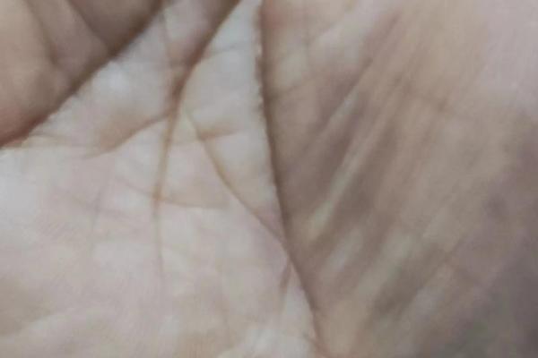 元宝手相:揭示你一生财富与好运的秘密 元宝手相:揭示你一生财富与好运的秘密