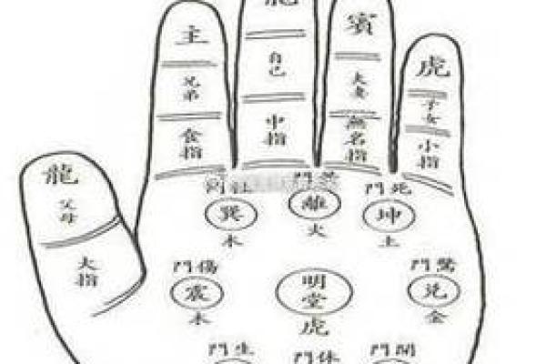 手相分析:如何从手掌看出未来的趋势 手相分析:如何从手掌看出未来的趋势
