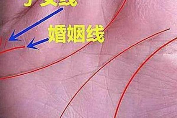 婚姻线揭示你未来的感情生活，手相分析必看
