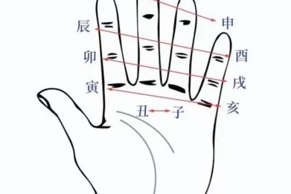 地支辰酉合的命理解析与运势影响 地支辰酉合的命理解析与运势影响