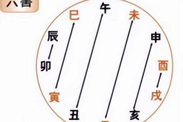 地支辰酉合的命理解析与运势影响 地支辰酉合的命理解析与运势影响