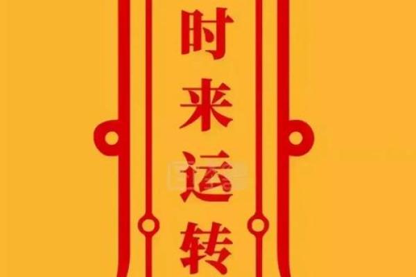 如何通过家居风水为属鸡人带来好运