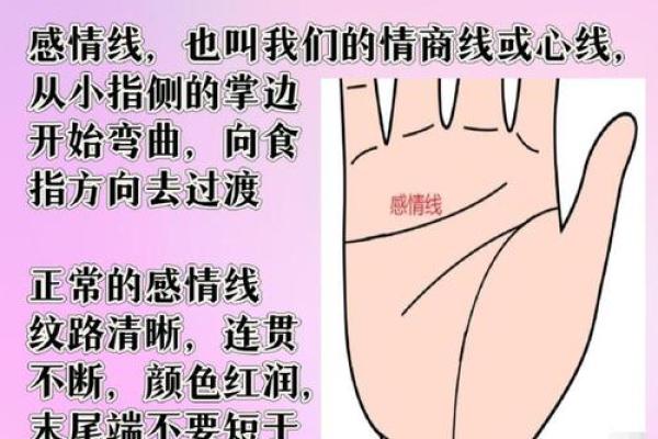 如何通过感情线手相判断恋爱与婚姻趋势 如何通过感情线手相判断恋爱与婚姻趋势