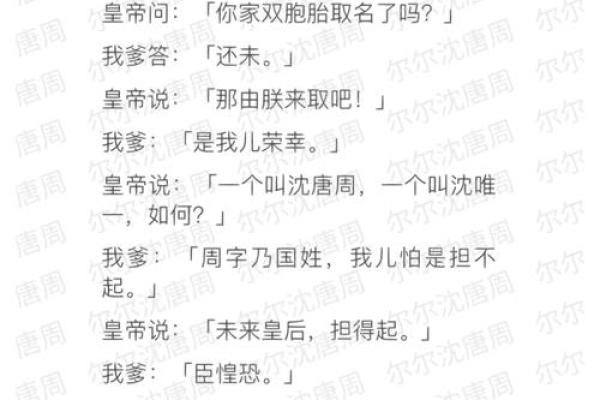 双胞胎取名时如何避免常见的错误和陷阱