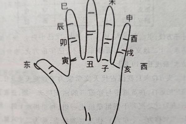 地支类象:从古代命理看十二地支的象征意义与运势分析 地支类象:从古代命理看十二地支的象征意义与运势分析