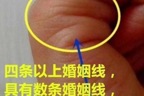 揭秘女孩手相中的爱情与事业走势 揭秘女孩手相中的爱情与事业走势