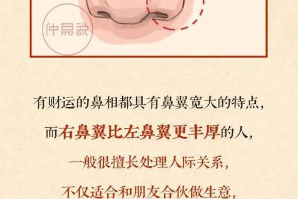 鼻子形状与男性命运：揭秘面相学中的重要线索