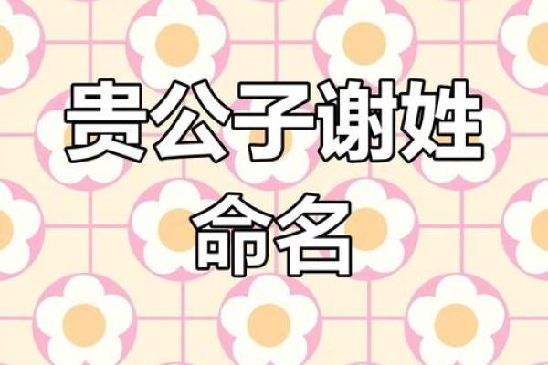 谢字取名的五大技巧与禁忌解析