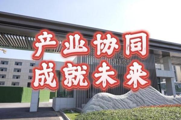 文化类公司如何通过内容创意引领行业潮流