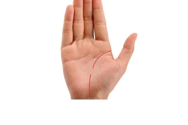 专业手相分析技巧视频:解锁你的未来潜力 专业手相分析技巧视频:解锁你的未来潜力