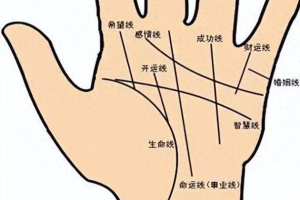 断掌手相解析：如何通过这一特征读懂未来的可能