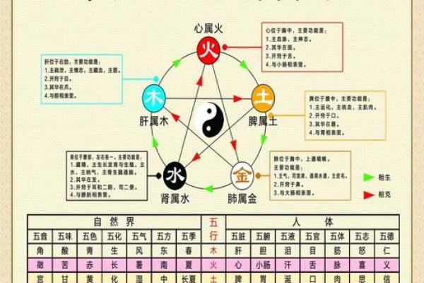 地支本气与五行相生相克的关系解析