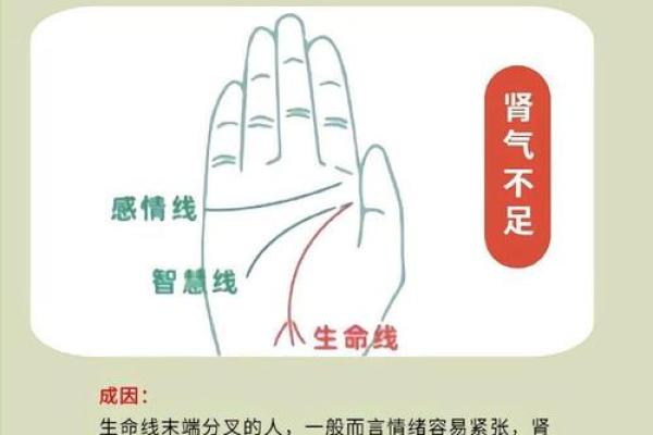 男手相图解:解读男性掌纹中的性格与命运玄机 男手相图解:解读男性掌纹中的性格与命运玄机