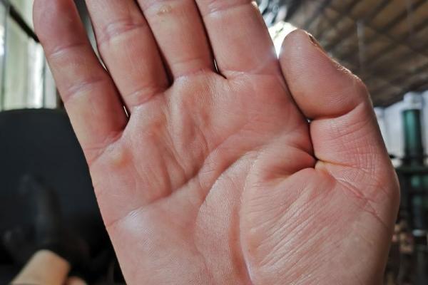 男手相图解:解读男性掌纹中的性格与命运玄机 男手相图解:解读男性掌纹中的性格与命运玄机