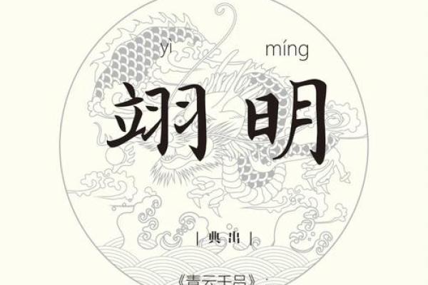 赋予男孩光耀未来，烨字名字的象征与寓意