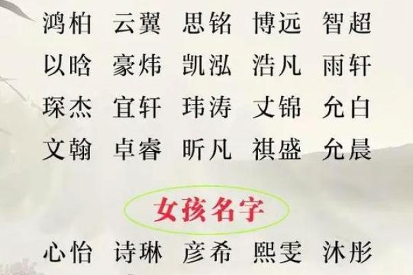 鸡宝宝男孩取名指南：让名字更有气质