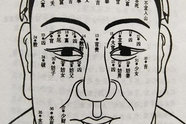 痣相与嫁入豪门：面部痣位置的财富暗示