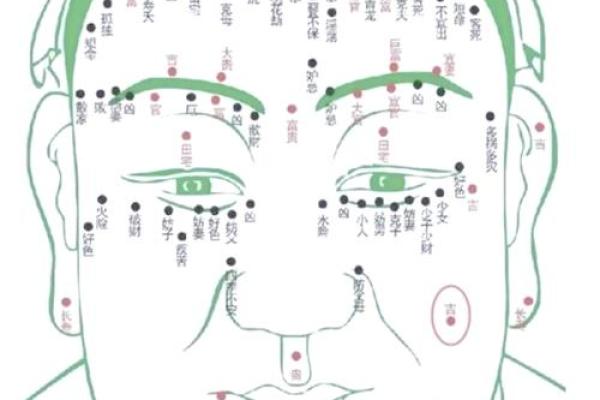 额头中间凸起的人生运势解析
