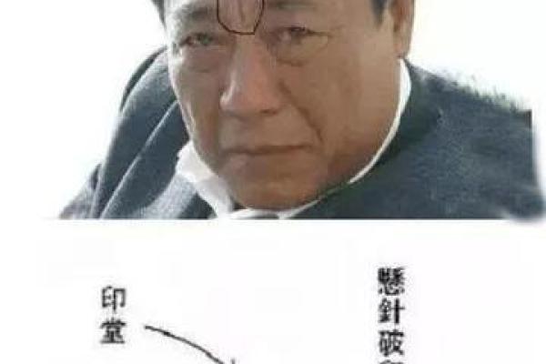额头中间凸起的人生运势解析