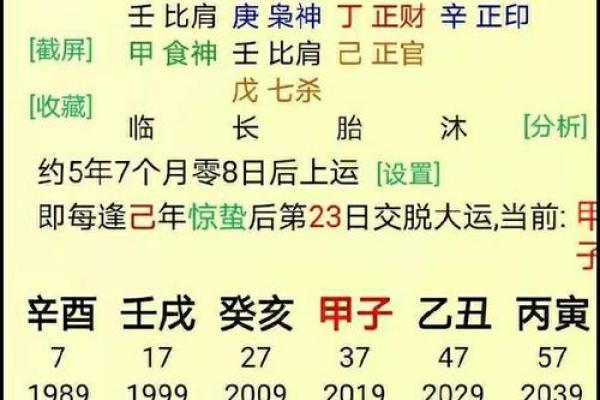 风水与命理如何影响个人运势与生活选择