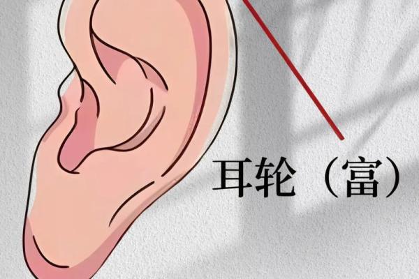 探秘当官的痣相与事业运势的关系