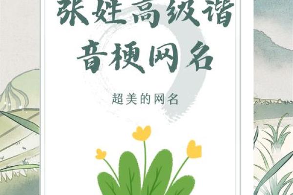 张姓男孩女孩名字大全，适合不同性格的选择