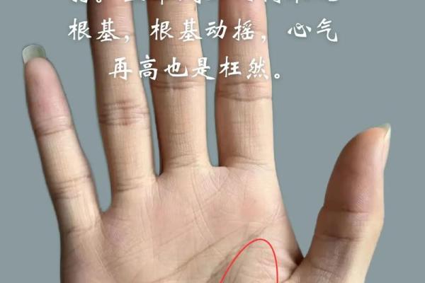 小拇指手相解读:揭示你性格与命运的秘密 小拇指手相解读:揭示你性格与命运的秘密