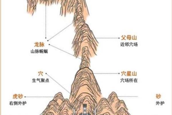 探秘风水大师的爱情法则：如何通过环境改善感情运