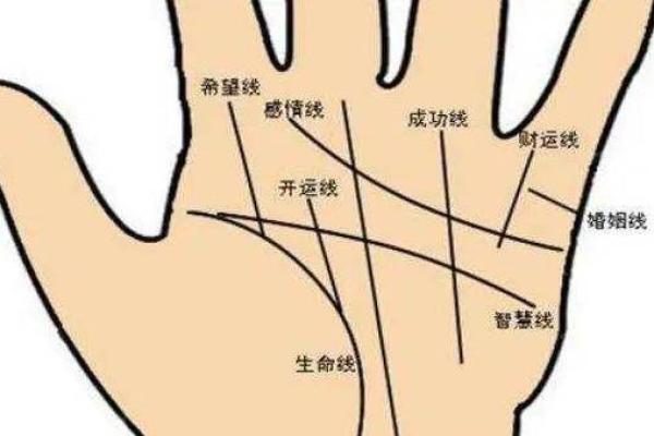 免费手相分析:揭示你命运的秘密 免费手相分析:揭示你命运的秘密