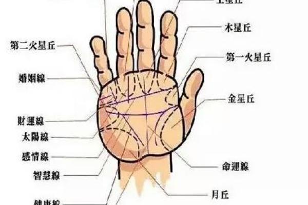 免费手相分析:揭示你命运的秘密 免费手相分析:揭示你命运的秘密