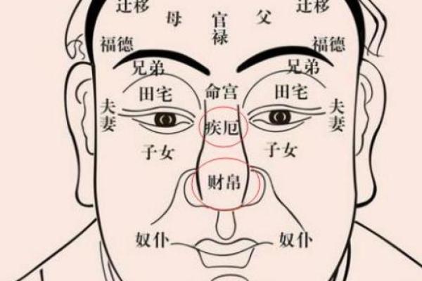 痣相男脸解析：这些面部痣的位置暗示了什么命运
