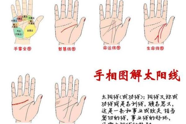 手相大全揭秘:如何通过手相分析个性与命运 手相大全揭秘:如何通过手相分析个性与命运