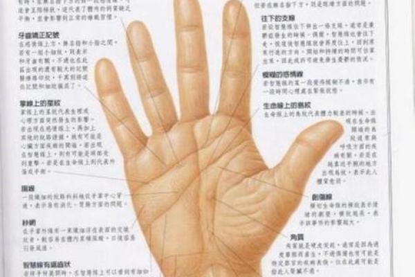 手相大全揭秘:如何通过手相分析个性与命运 手相大全揭秘:如何通过手相分析个性与命运