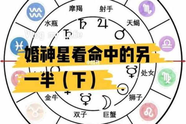 从星座到命理 今日运势全方位分析