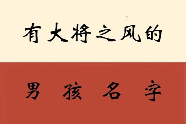 刘姓男孩起名宝典：独特有寓意的名字推荐