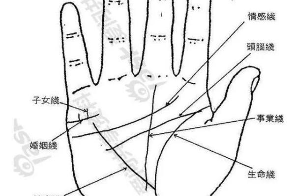 手相入门到精通全解析,全面解读你的命运线与生命线 手相入门到精通全解析,全面解读你的命运线与生命线